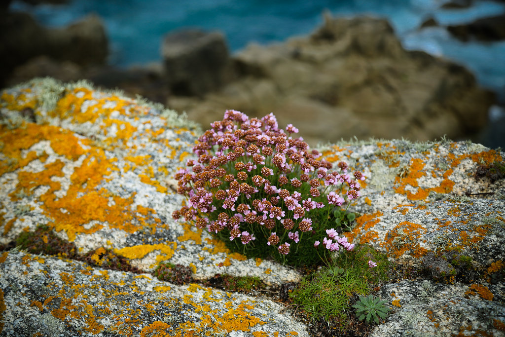 OUESSANT-2014-41.jpg